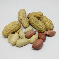 dry-fruits-10